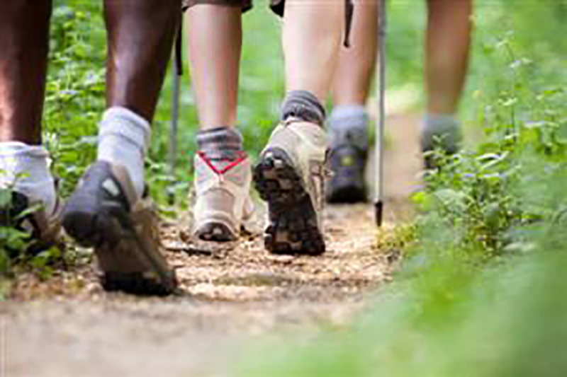 a family on a hike