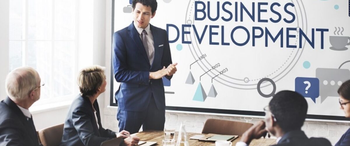 basics of business development