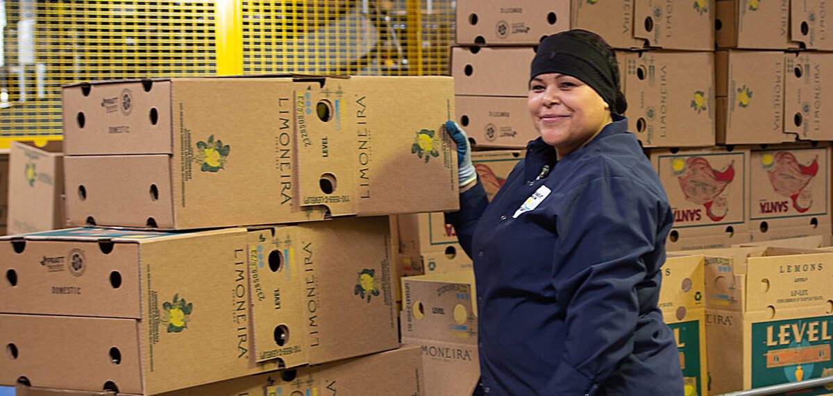 An agricultural warehouse worker stages produce and lemon boxes for packing